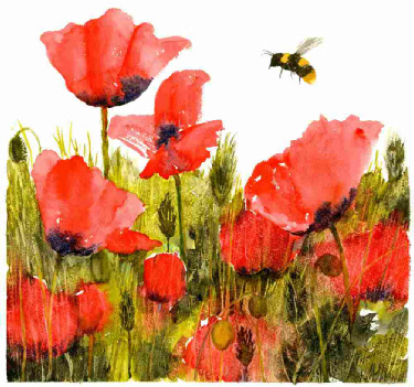 Poppies give me a buzz