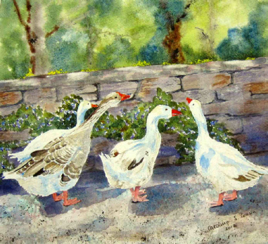 Pont Aven Geese